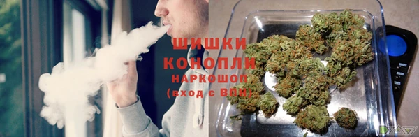 ГАЛЛЮЦИНОГЕННЫЕ ГРИБЫ Армянск