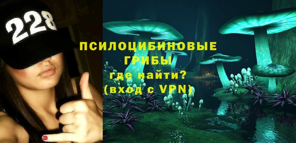 ГАЛЛЮЦИНОГЕННЫЕ ГРИБЫ Армянск
