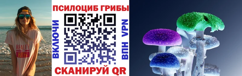 Псилоцибиновые грибы Psilocybe  Купить закладки  Вихоревка 